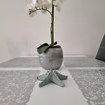 דירה Silver