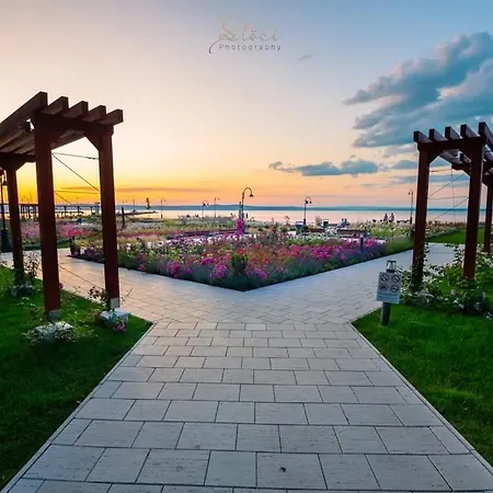 Silver * 希欧福克