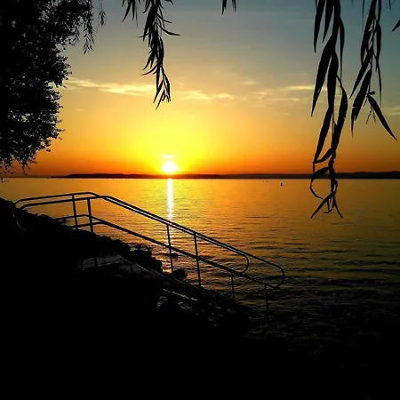 Silver * 希欧福克